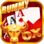 rummy time online game icon